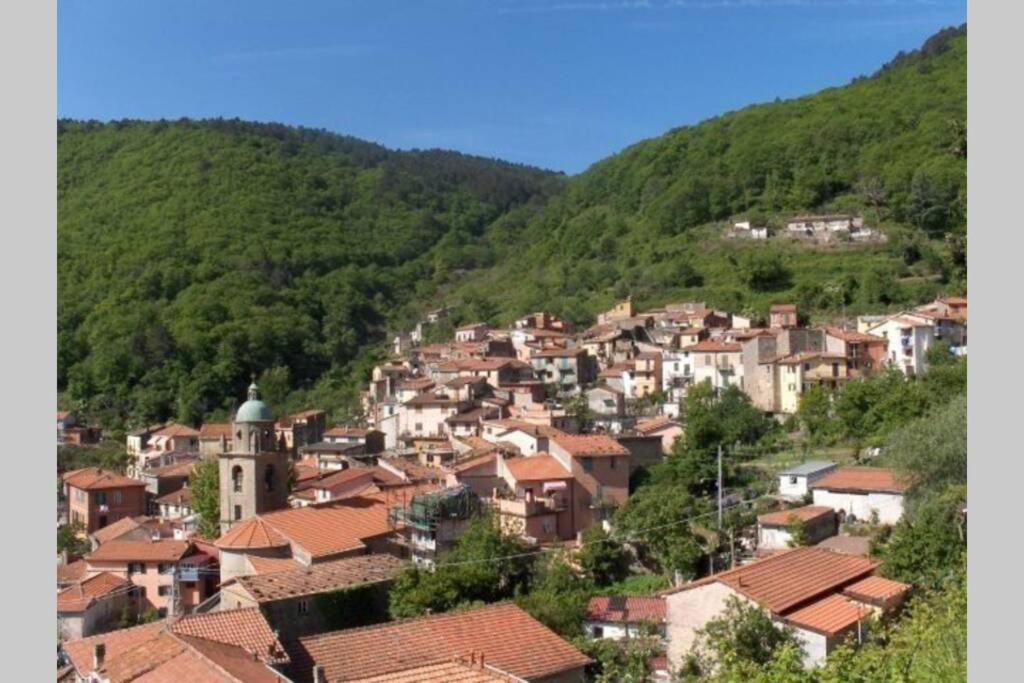 La Casetta Di Lory Apartment Biassa Luaran gambar